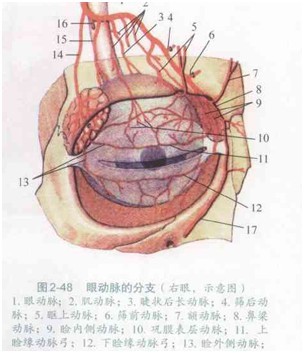 http://e.bleee.com.cn/UploadFiles_8035/201304/2013042311593486.jpg